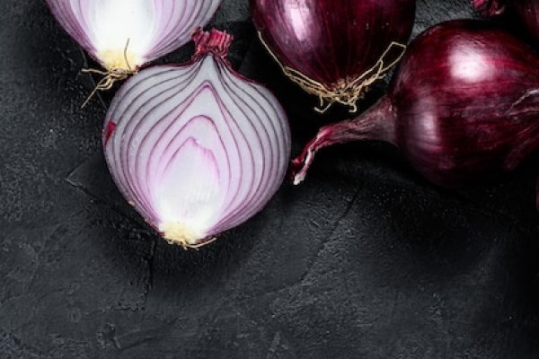 Kraken 16 onion