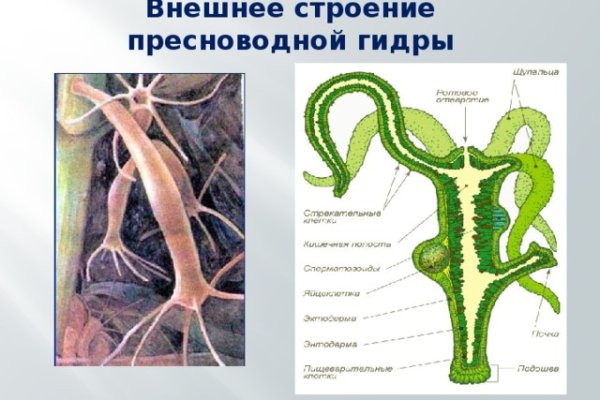 Почему не закрыт сайт кракен