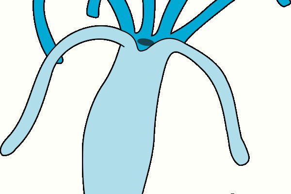 Kraken актуальные ссылки официальный сайт